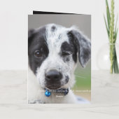 Voel je je kieskeurig? kaart (Achterkant)