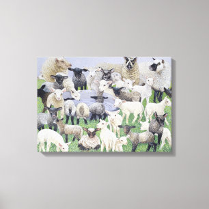 Voeling van schapen canvas afdruk