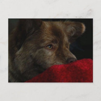 voer mengeling met hartbriefkaart briefkaart