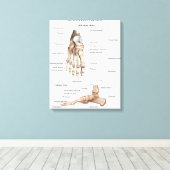 Voet Botten anatomie Canvas Afdruk (Insitu (Houten vloer))