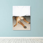 Voet en staart van gele labhond verborgen onder be canvas afdruk (Insitu (Houten vloer))