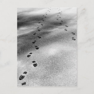 Voetafdrukken in sneeuw briefkaart