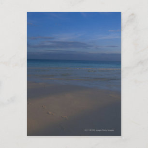 Voetafdrukken op het strand briefkaart