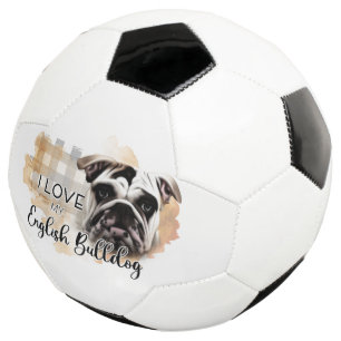 Voetbal
