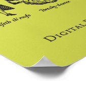 Voetbal, 1603-1625 poster (Hoek)