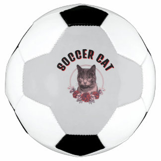 Voetbal Cat Ball