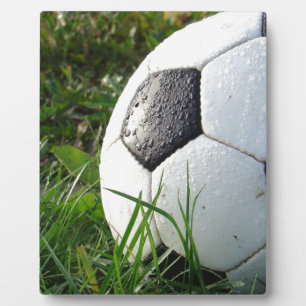 Voetbal in het veld fotoplaat
