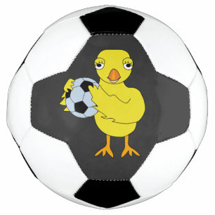 Voetbal Kuiken
