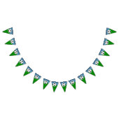 Voetbal-partij Vlaggetjes (Alle)