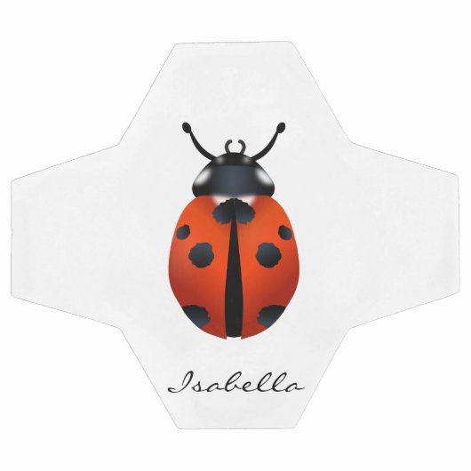 Voetbal van Ladybugs (Enkel)