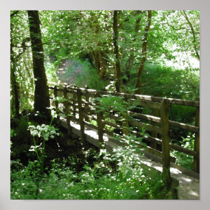 Voetbrug in Woodland. Poster