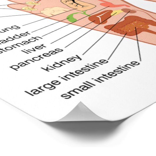 voetreflexologie 12x10 inch poster (Hoek)
