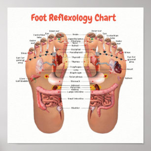 voetreflexologie 12x12 inch poster