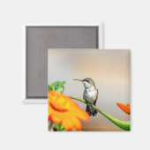 Voetvogel op een bloeiend plant magneet (Voorkant / Achterkant)