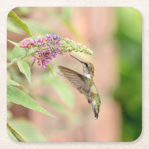 Voetvogel op een bloeiend plant vierkante kartonnen onderzetter