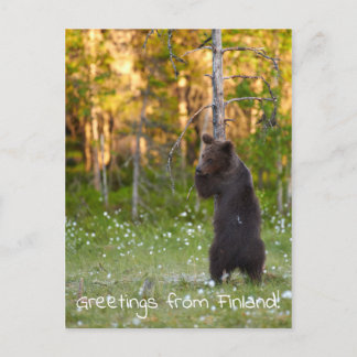 Voeux de la Finlande carte postale