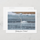 Voeux de la Finlande carte postale (Devant / Derrière)