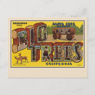 Voeux de Père Noël Cruz Grande Lettre Carte Postal