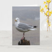 Voeux Seagull Ajouter une carte texte (Fleur jaune)