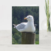 Voeux Seagull Ajouter une carte texte (Devant)