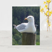Voeux Seagull Ajouter une carte texte (Fleur jaune)