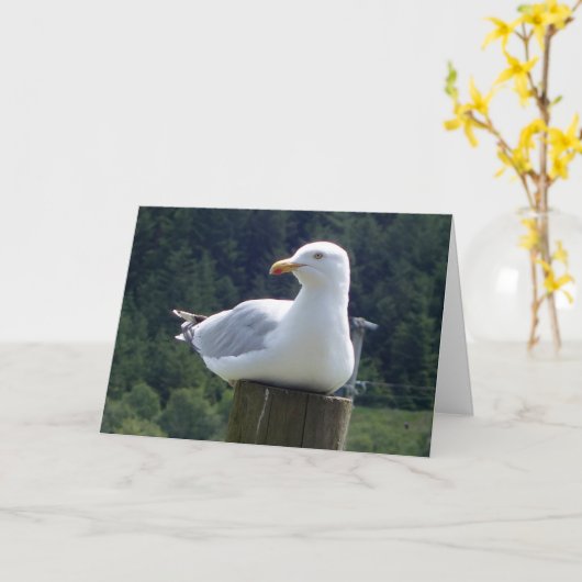 Voeux Seagull Ajouter une carte texte (Fleur jaune)