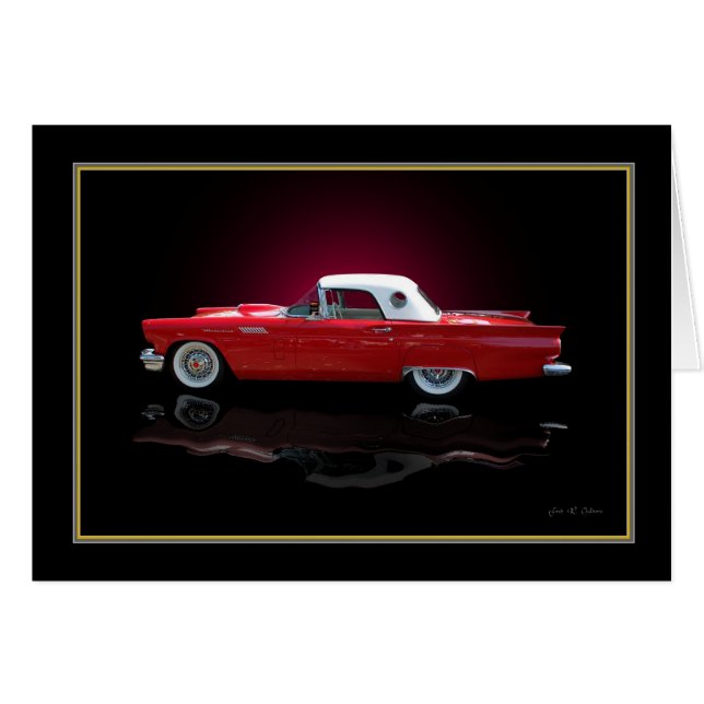 vogel (Voorkant Horizontaal)