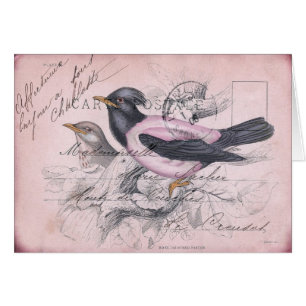 vogel