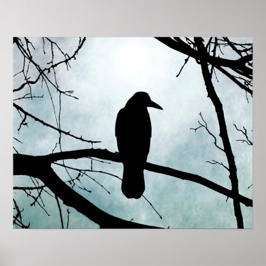vogel 77 Crow Raven Poster (Voorkant)