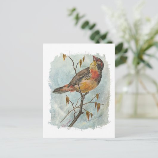  vogel briefkaart (Staand voorkant)