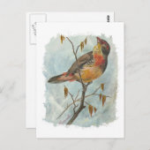  vogel briefkaart (Voorkant / Achterkant)