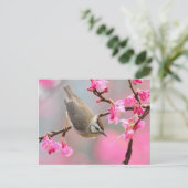 vogel briefkaart (Staand voorkant)