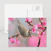 vogel briefkaart (Voorkant / Achterkant)