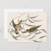  vogel briefkaart (Voorkant / Achterkant)