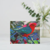 vogel briefkaart (Staand voorkant)