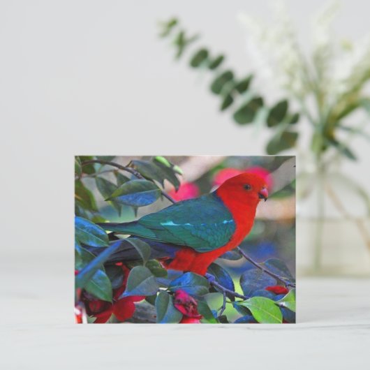 vogel briefkaart (Staand voorkant)