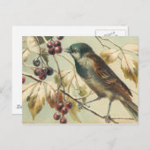   vogel briefkaart (Voorkant / Achterkant)