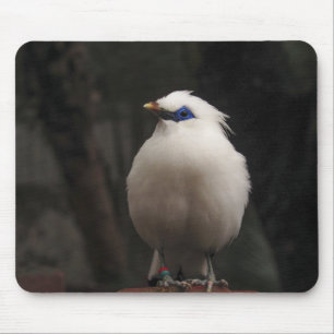 Vogel, dier, natuur muismat