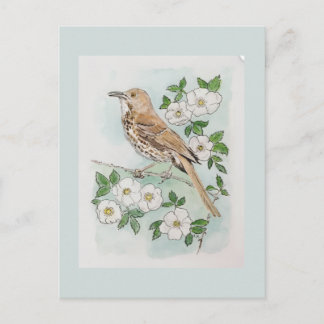 Vogel en bloem van de staat Georgia Briefkaart