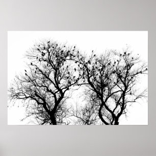 Vogel en boomsilhouet. poster