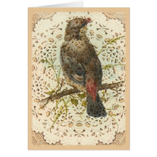  vogel en doilie (Voorkant)