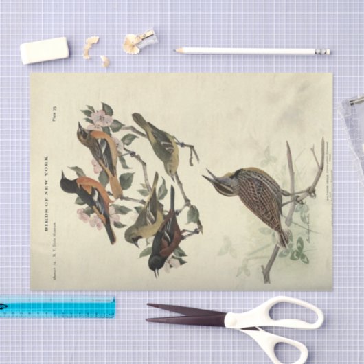 Vogel Ephemera Decoupage Bloemen Tissuepapier (Craft)