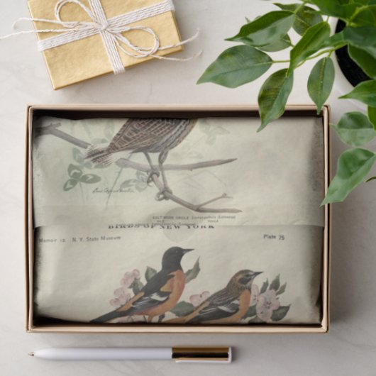 Vogel Ephemera Decoupage Bloemen Tissuepapier (Geschenk)