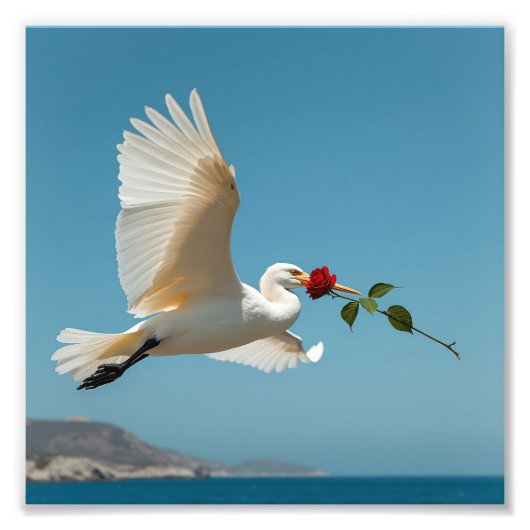 vogel foto afdruk (Voorkant)