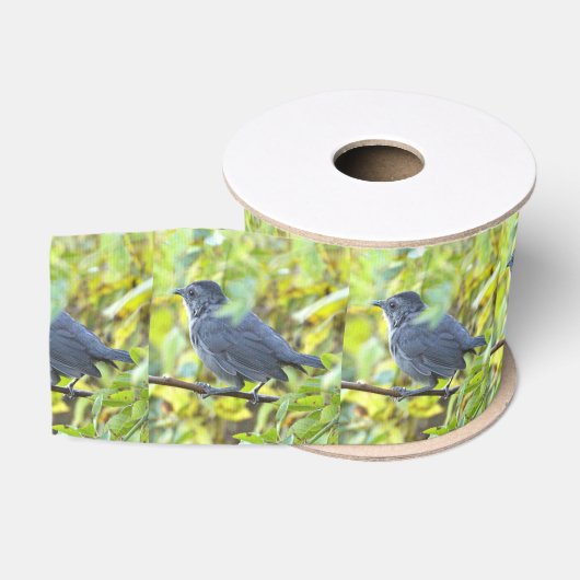 Vogel Foto Lint (Spoel)