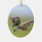 Vogel Foto Ornament (Rechts)