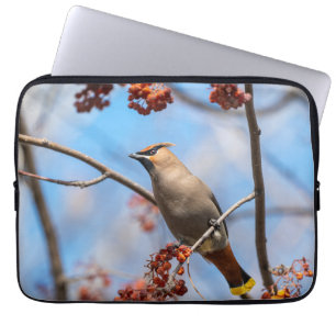 Vogel fotografie, Pestvogel Laptop Sleeve