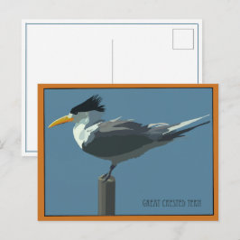 Vogel--Grote Kuifstern ansichtkaart Briefkaart
