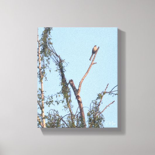 Vogel in Boom Muurkunst Canvas Afdruk (Voorkant)