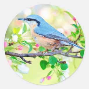 Vogel in de lente stickers